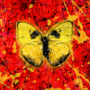 阿姨用脚帮你设
