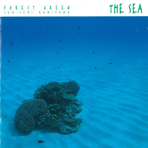 阿姨用脚帮你设
